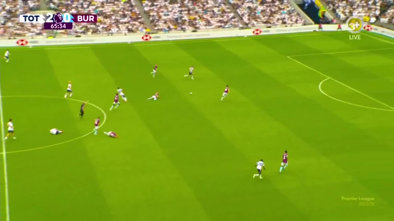 zaslepka skrotu video