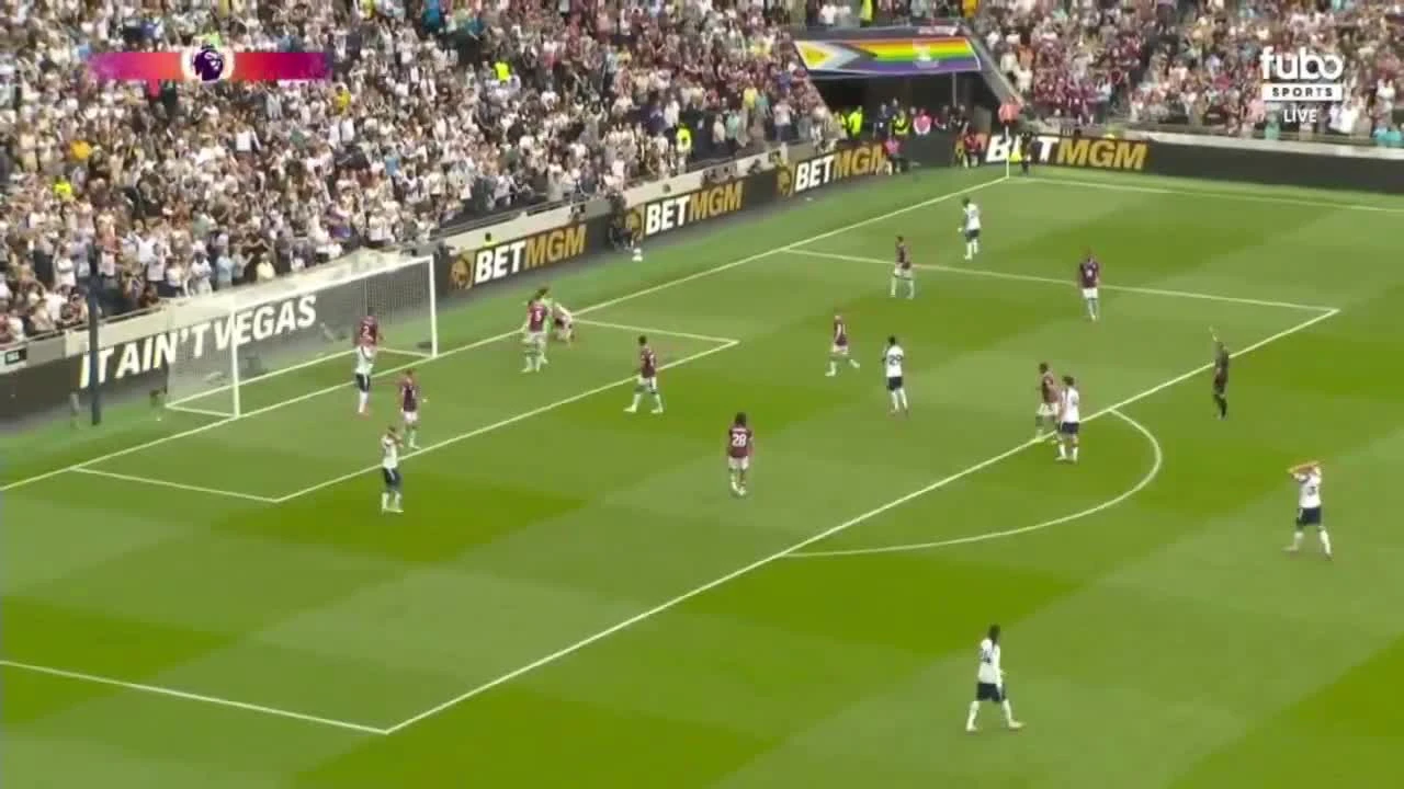 zaslepka skrotu video