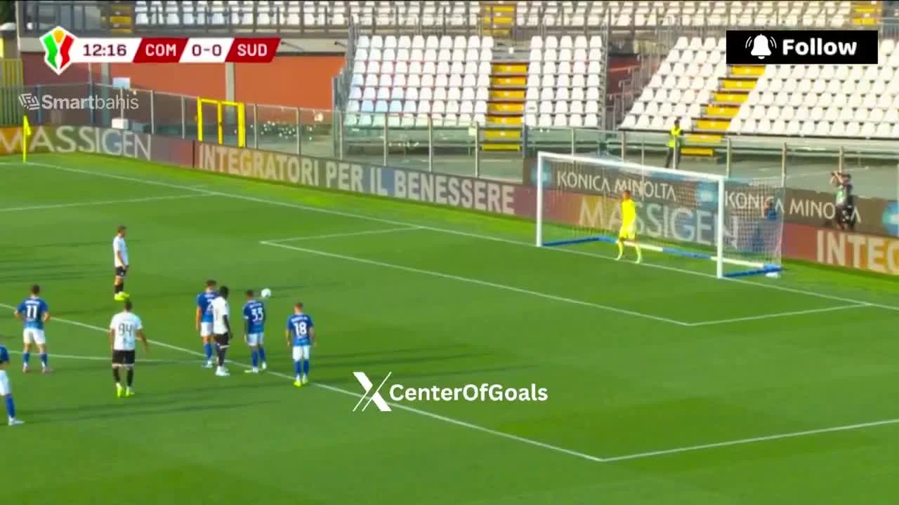 zaslepka skrotu video