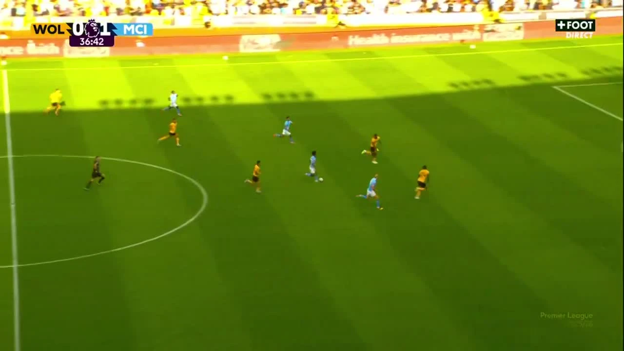 zaslepka skrotu video