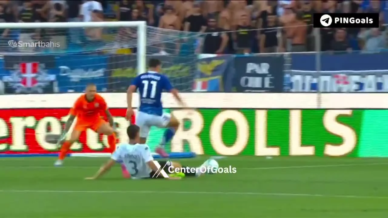 zaslepka skrotu video