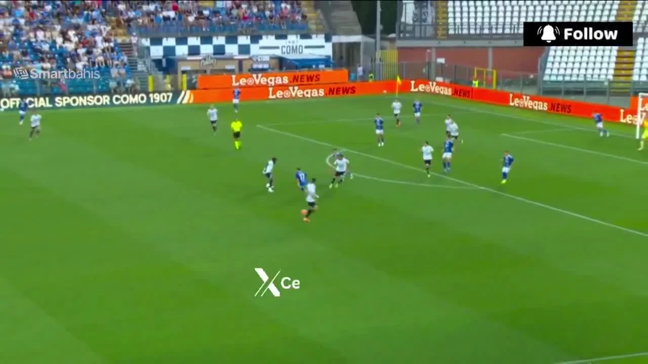 zaslepka skrotu video