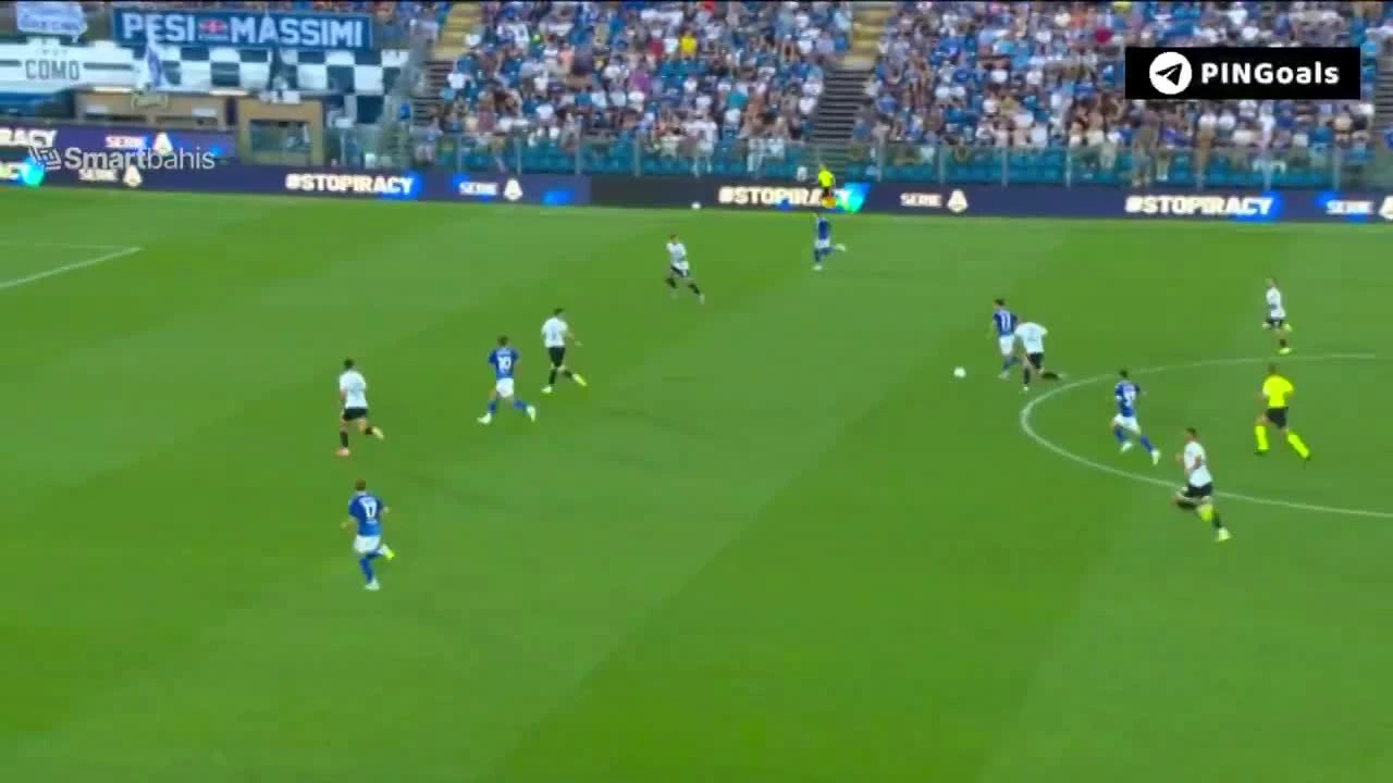 zaslepka skrotu video