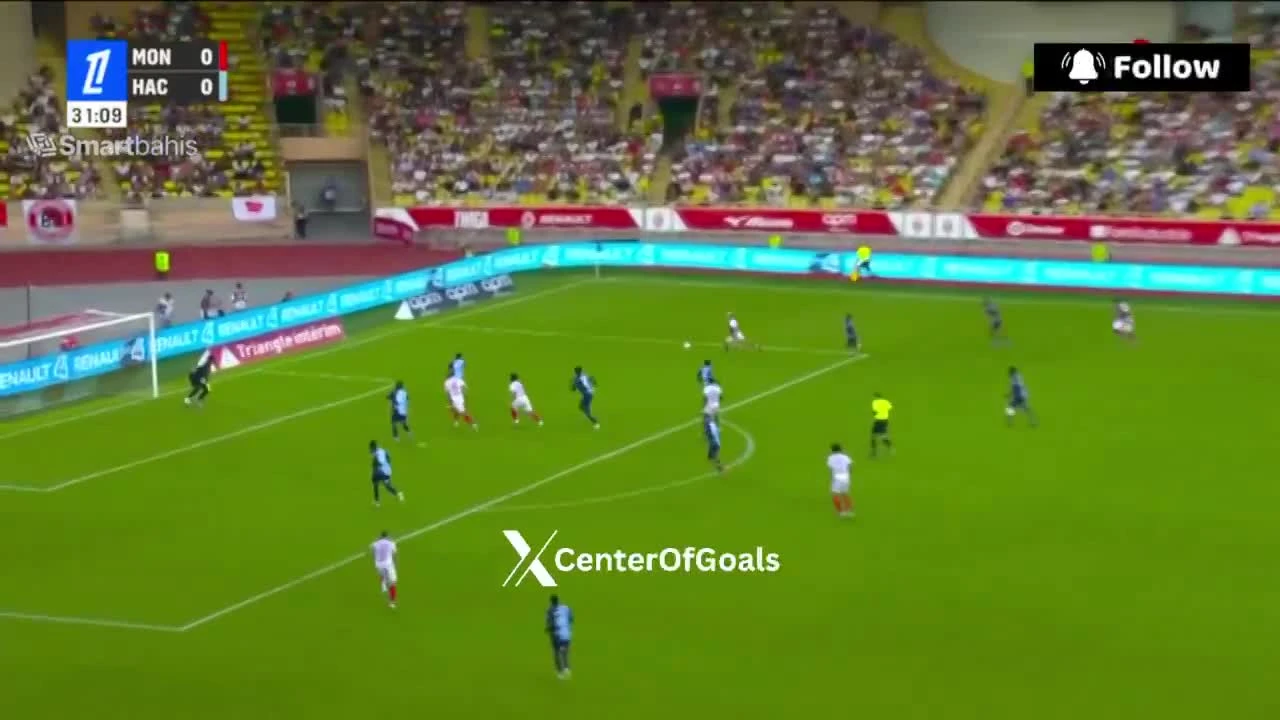 zaslepka skrotu video