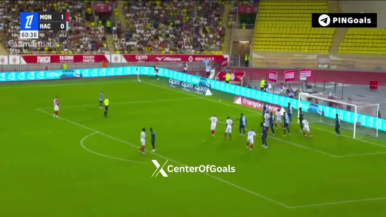 zaslepka skrotu video