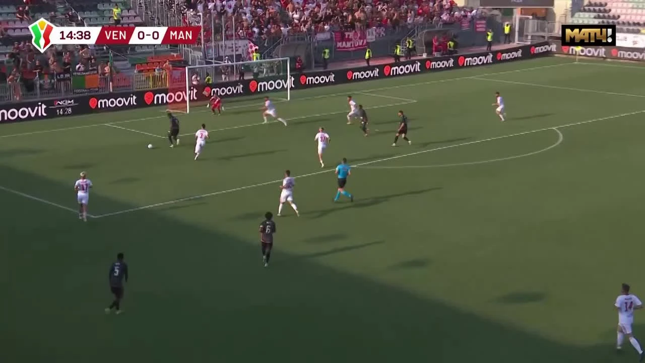 zaslepka skrotu video