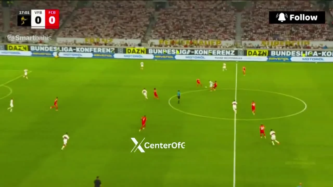 zaslepka skrotu video