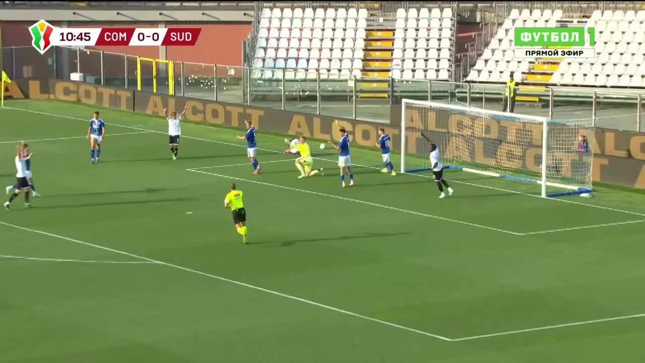 zaslepka skrotu video