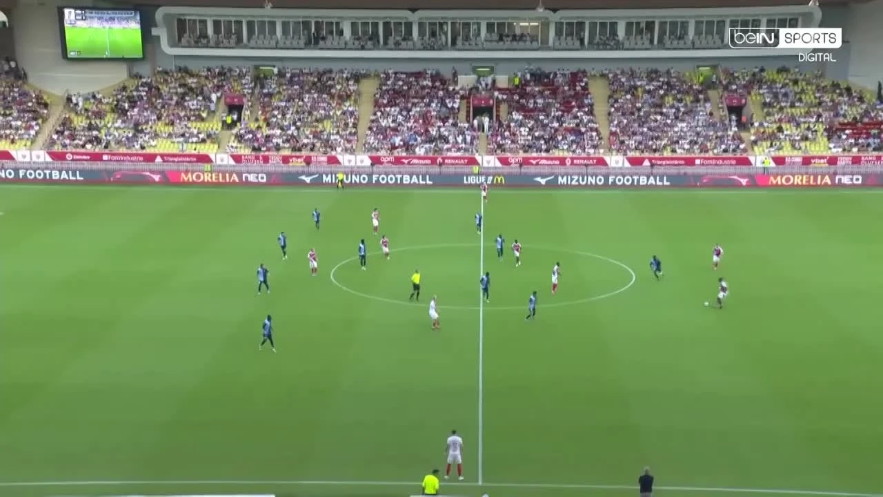 zaslepka skrotu video