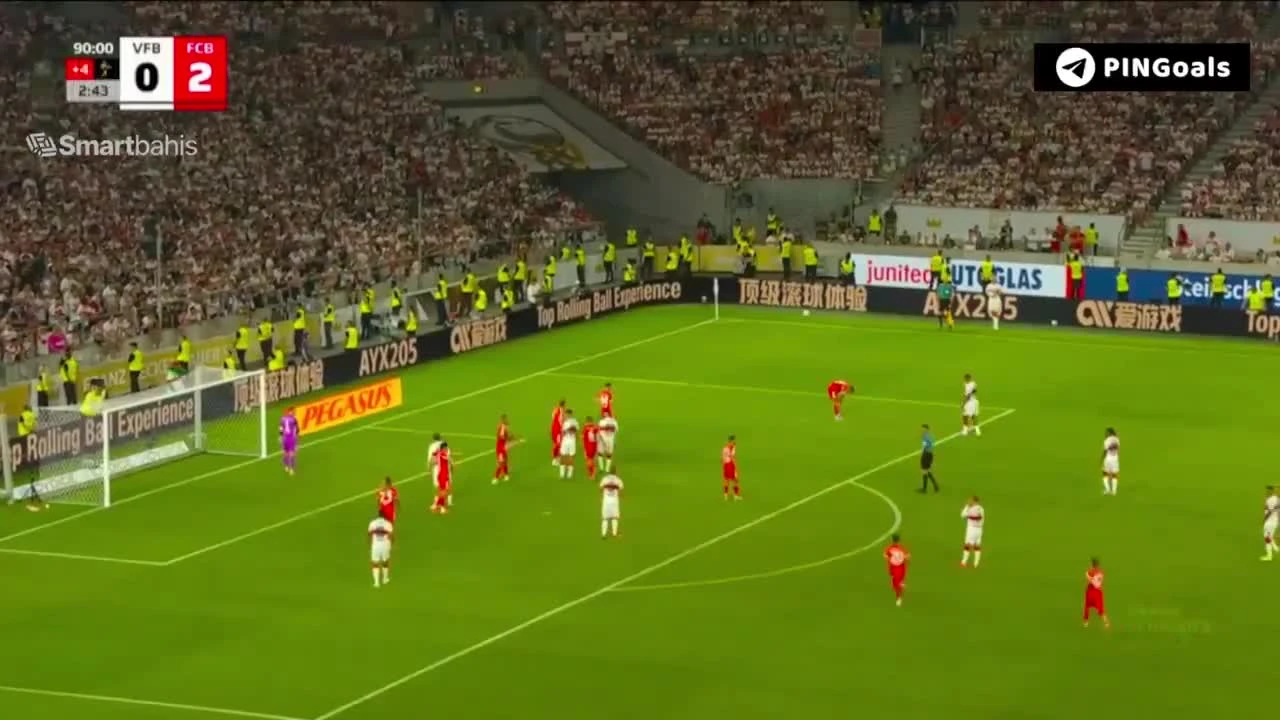 zaslepka skrotu video