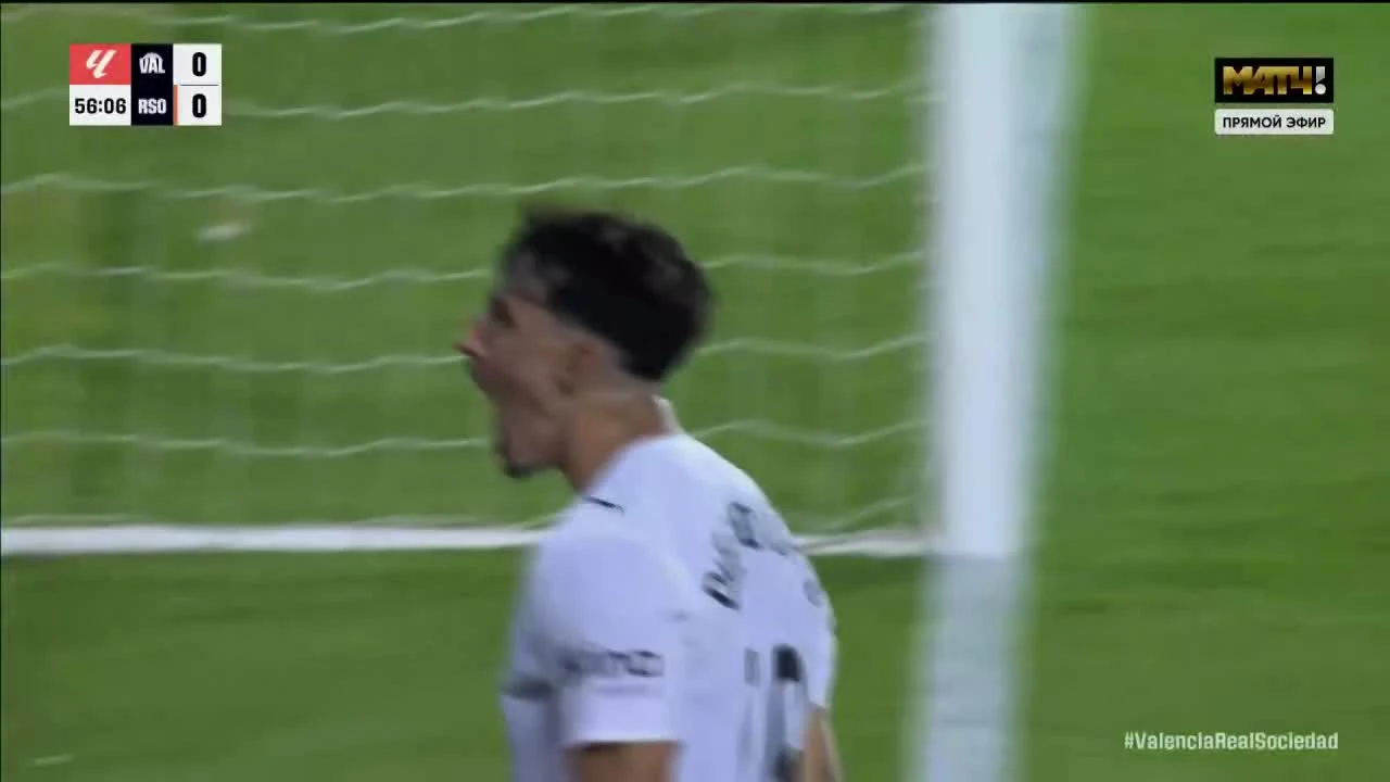 zaslepka skrotu video