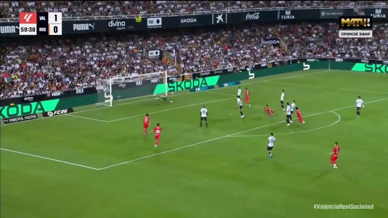 zaslepka skrotu video