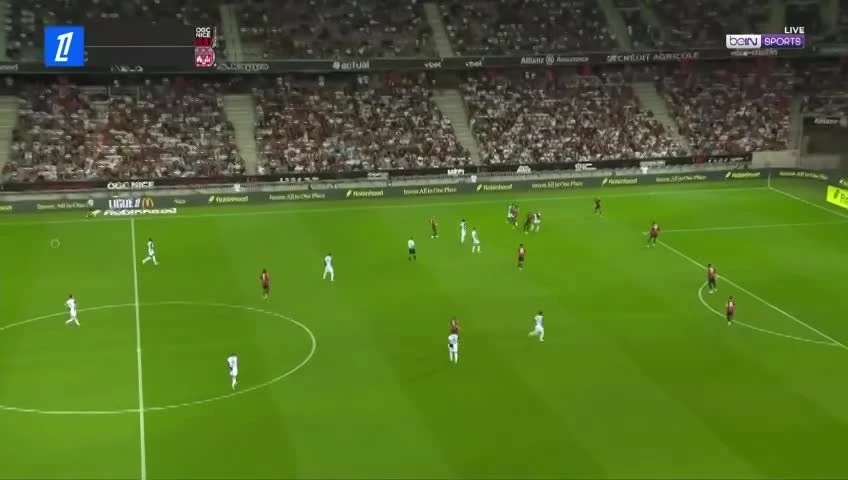 zaslepka skrotu video