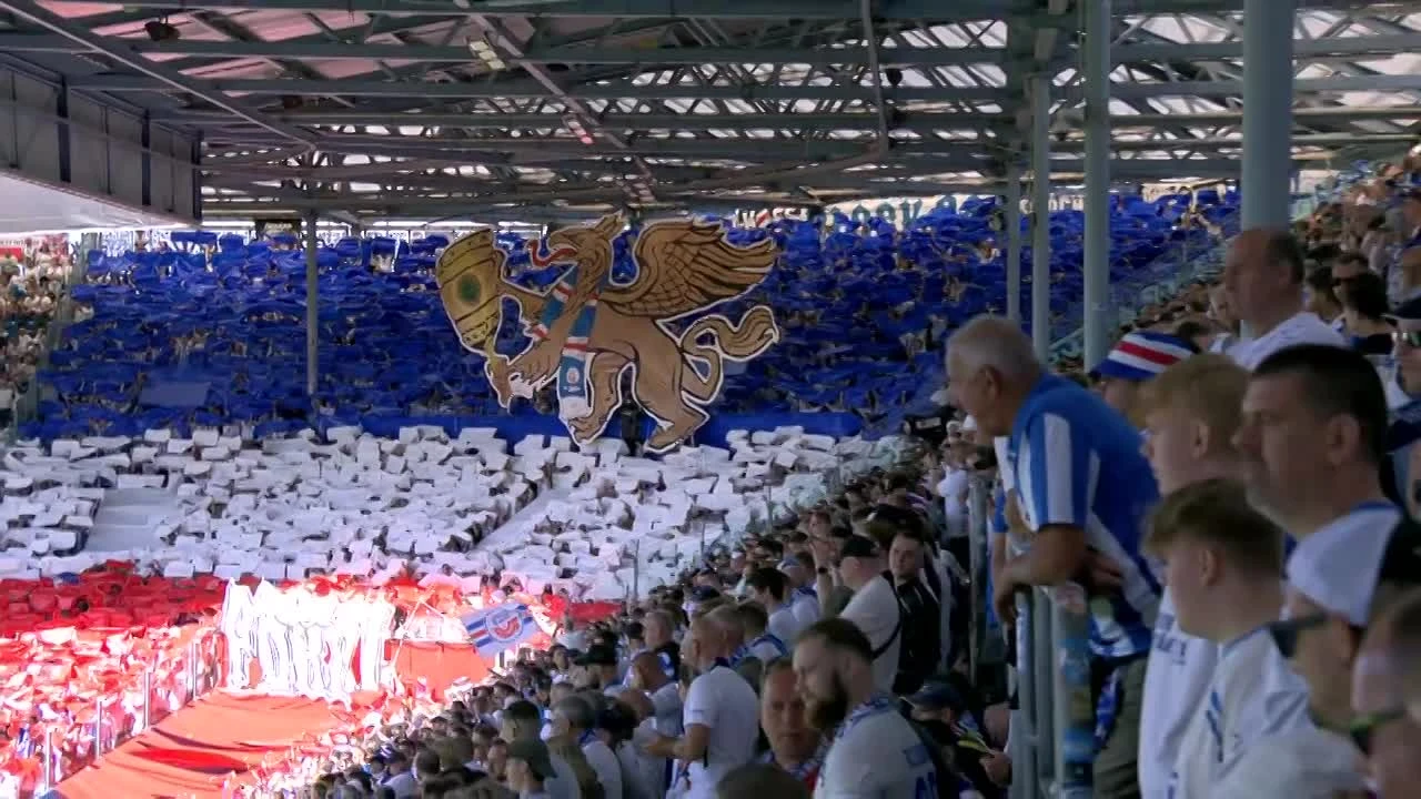 zaslepka skrotu video