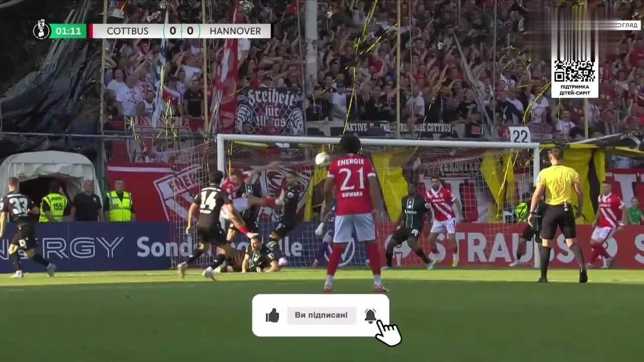 zaslepka skrotu video
