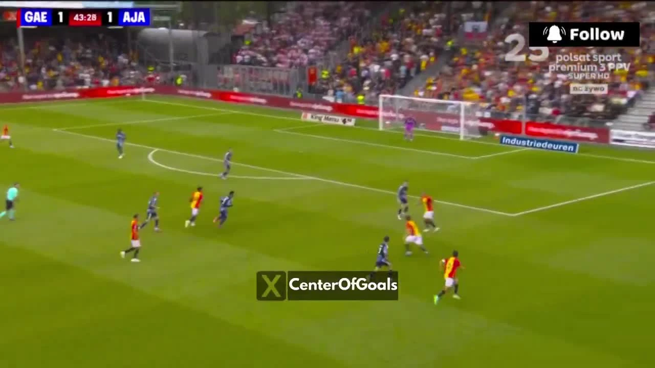 zaslepka skrotu video