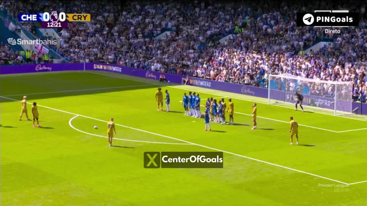 zaslepka skrotu video