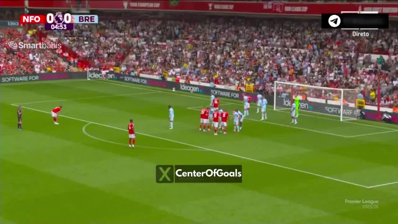 zaslepka skrotu video