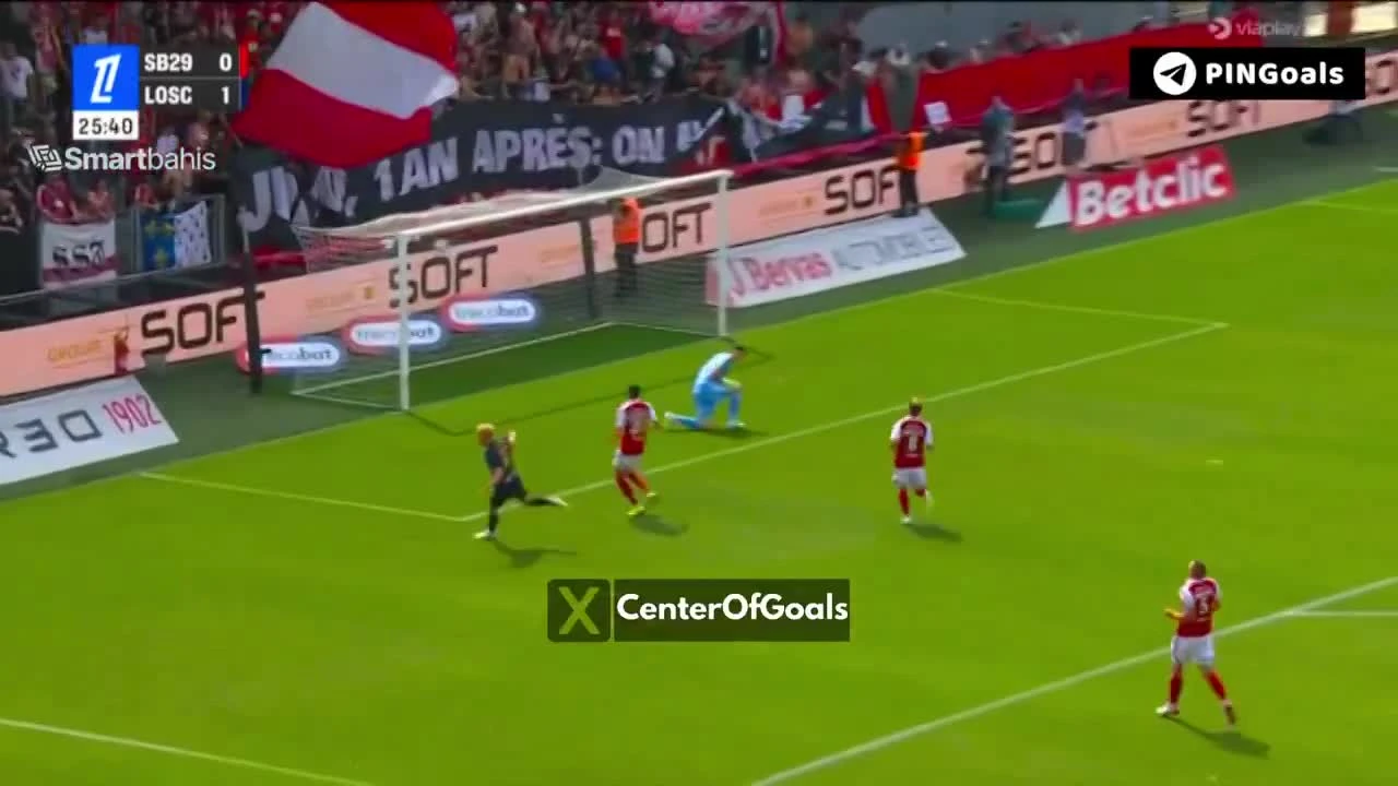zaslepka skrotu video