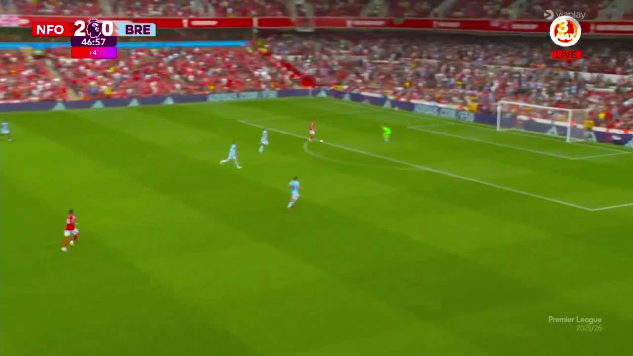 zaslepka skrotu video