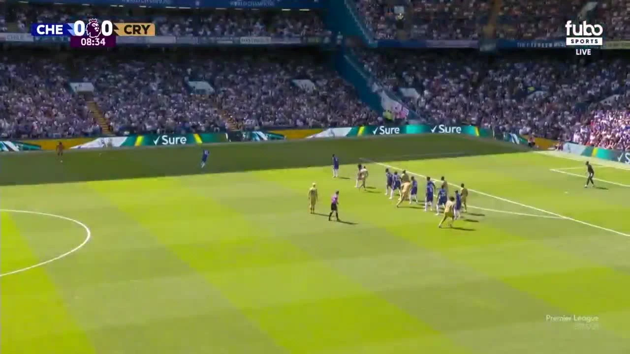 zaslepka skrotu video