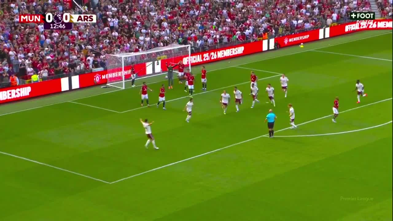 zaslepka skrotu video