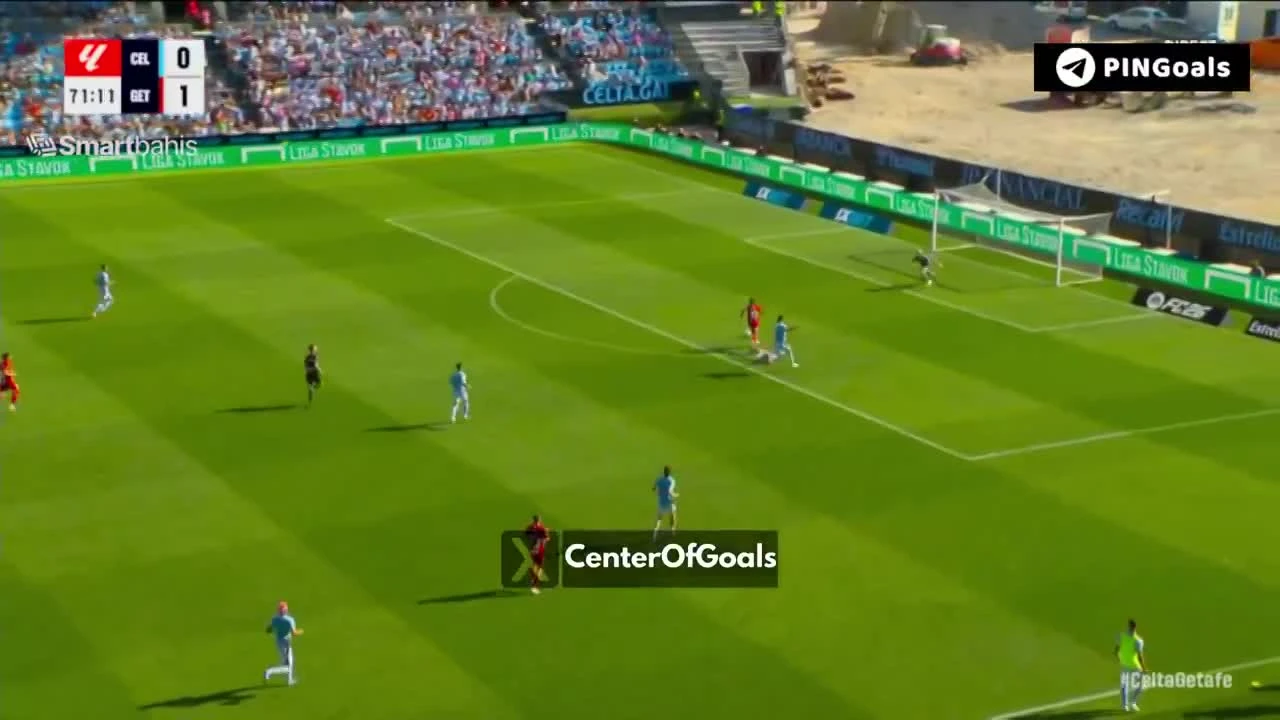 zaslepka skrotu video
