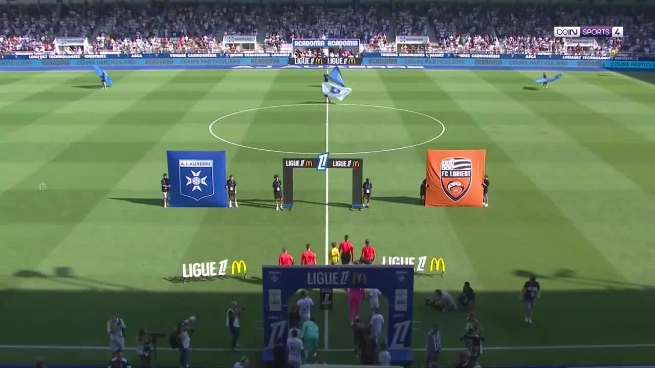 zaslepka skrotu video