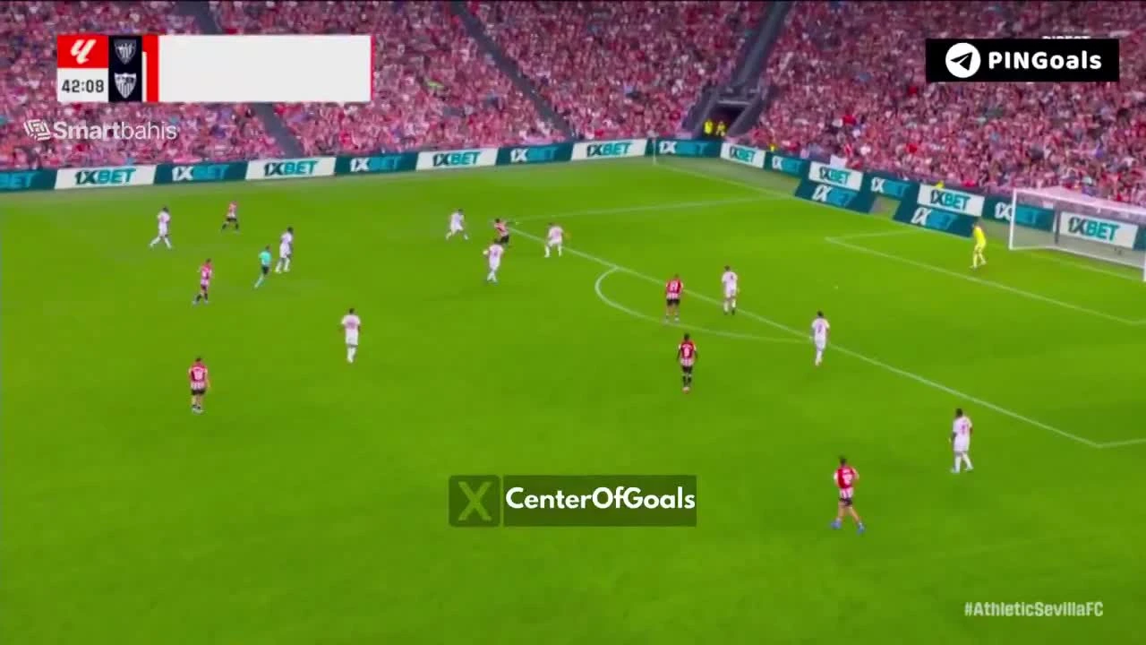 zaslepka skrotu video