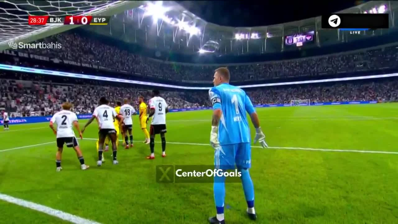 zaslepka skrotu video