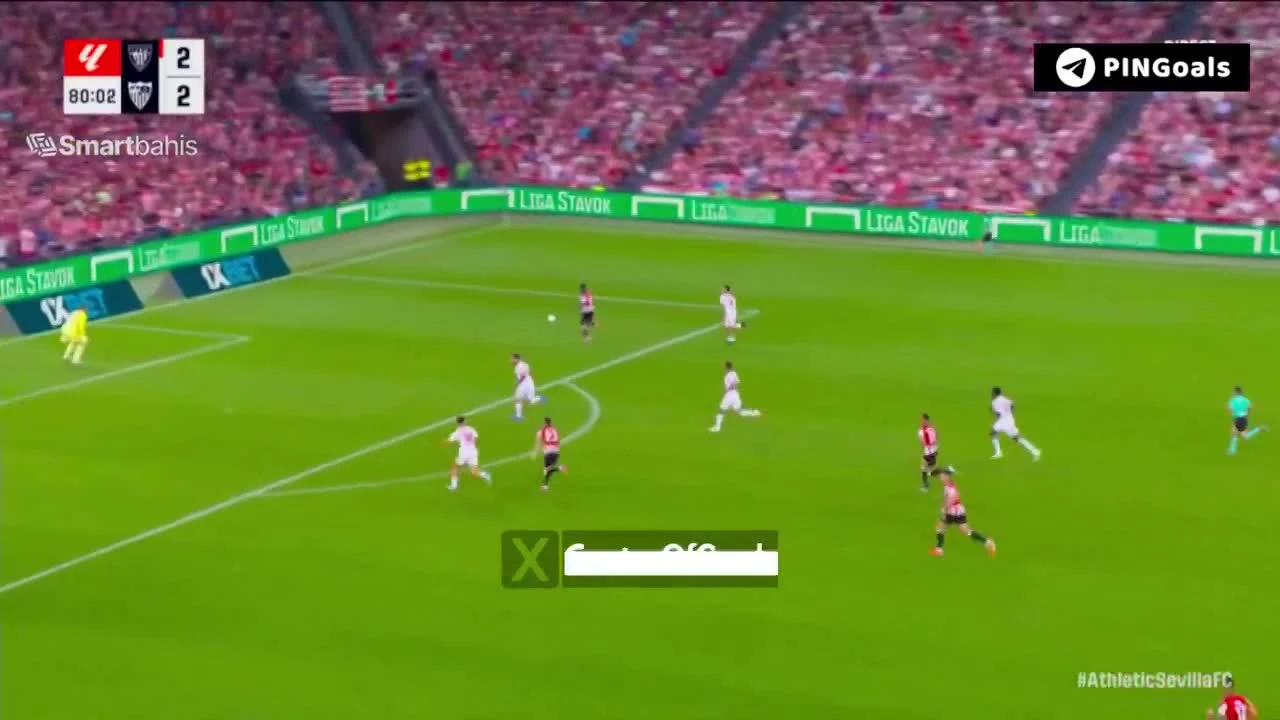 zaslepka skrotu video