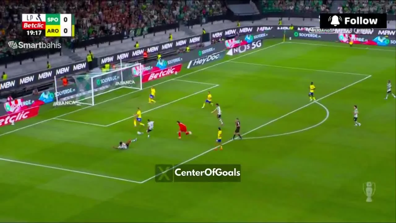 zaslepka skrotu video