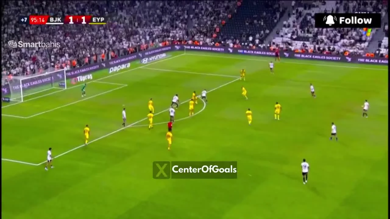 zaslepka skrotu video