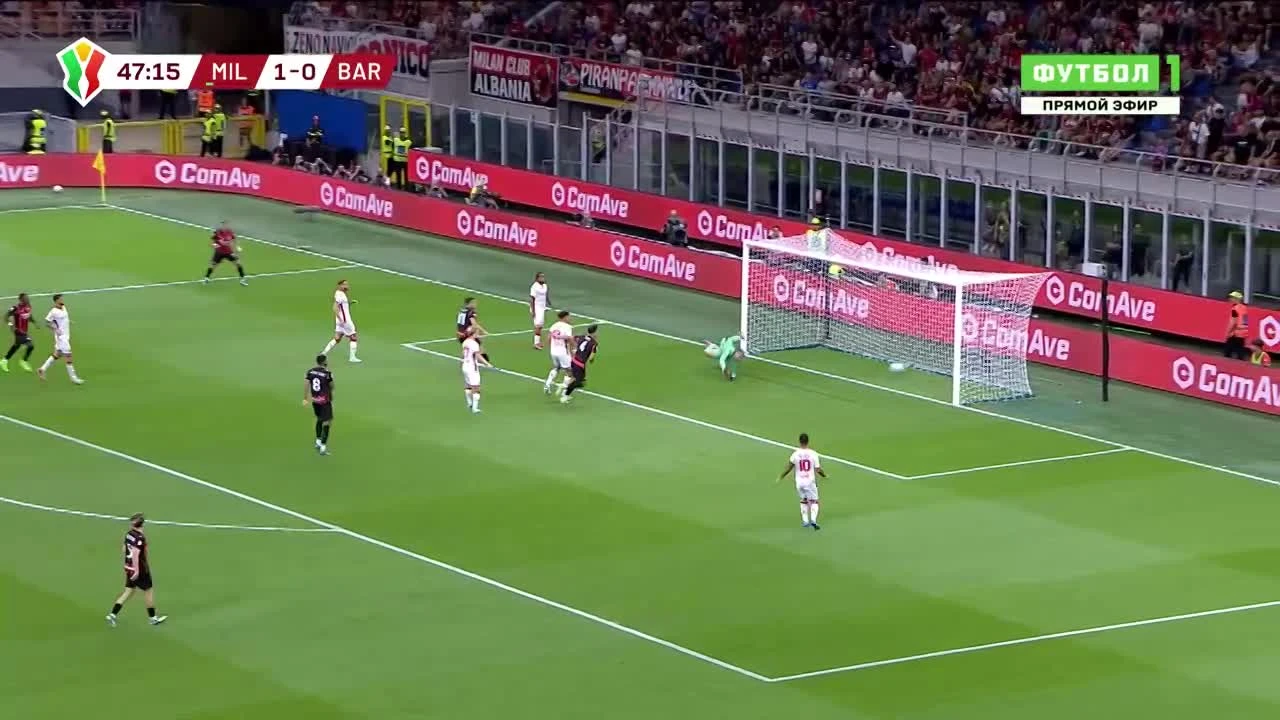 zaslepka skrotu video