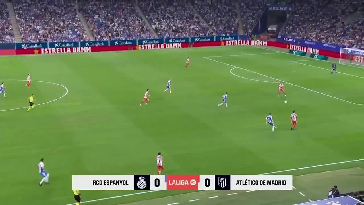 zaslepka skrotu video