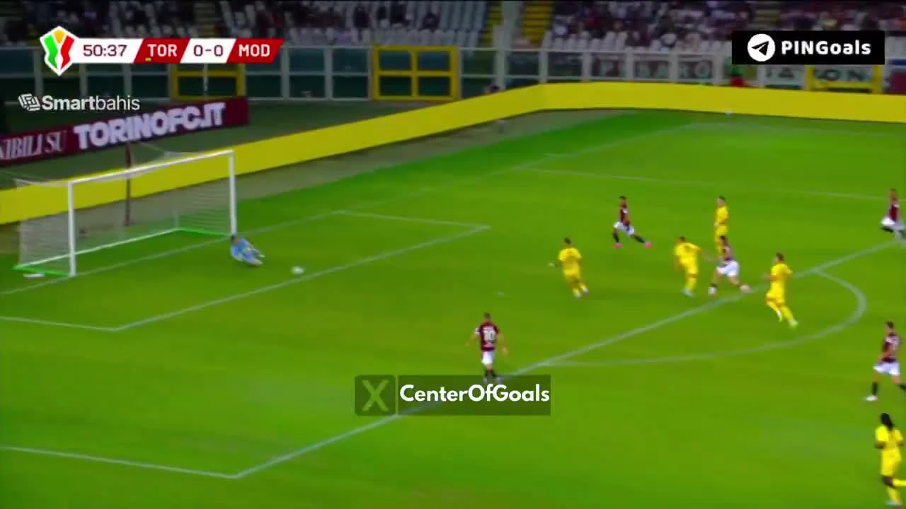zaslepka skrotu video