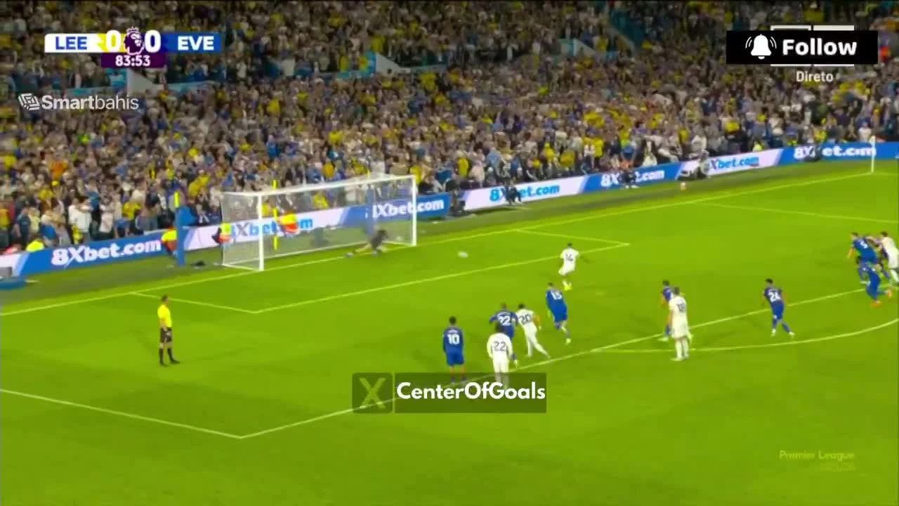 zaslepka skrotu video