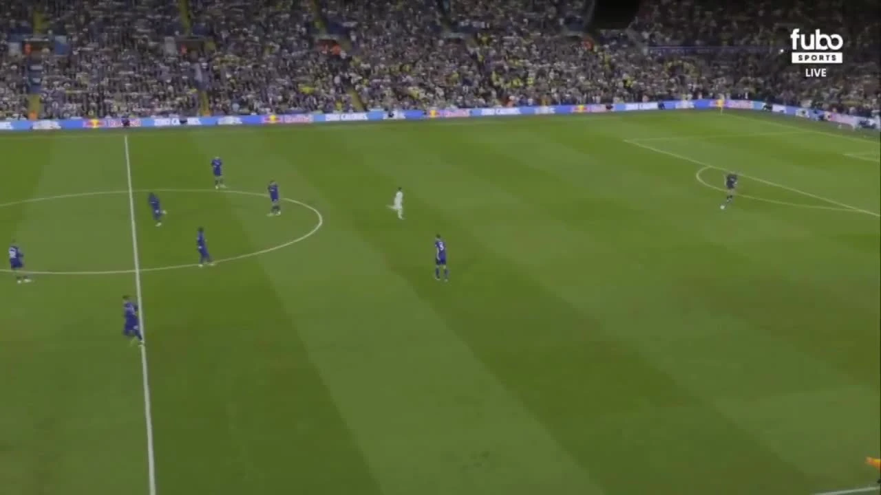 zaslepka skrotu video
