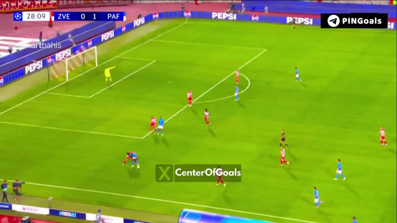 zaslepka skrotu video