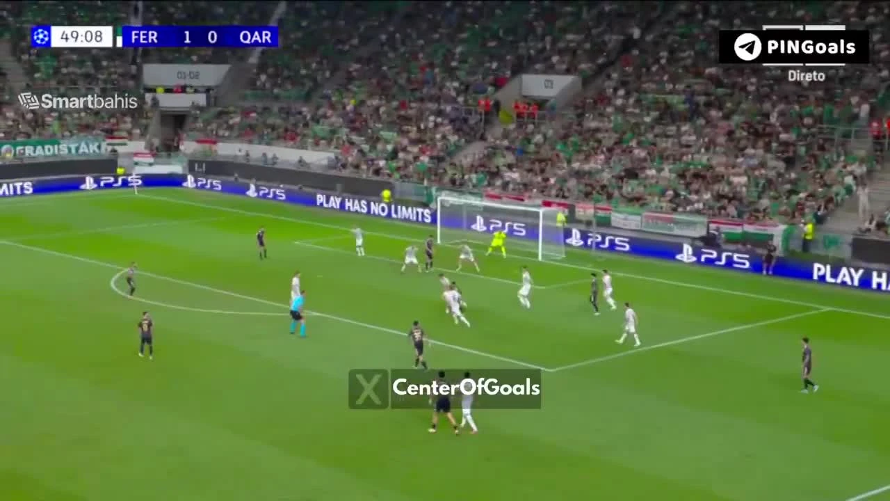 zaslepka skrotu video