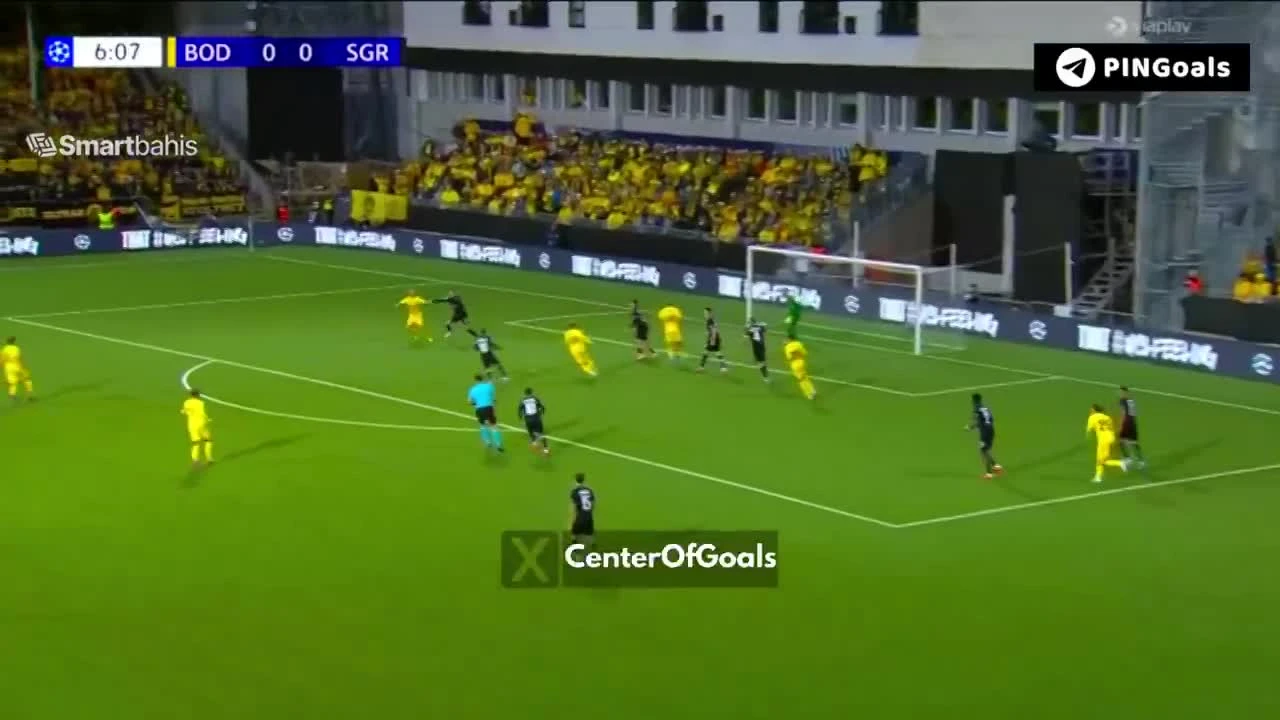 zaslepka skrotu video