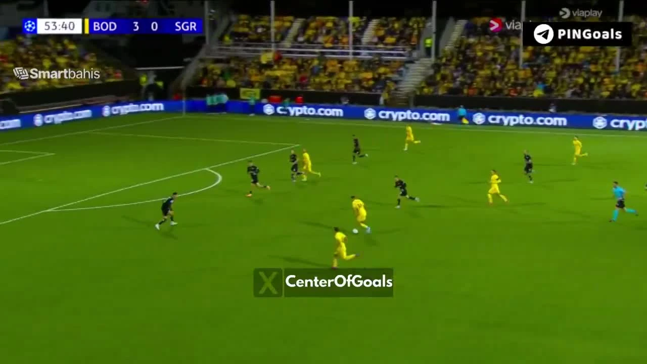 zaslepka skrotu video