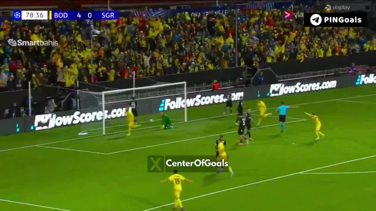 zaslepka skrotu video