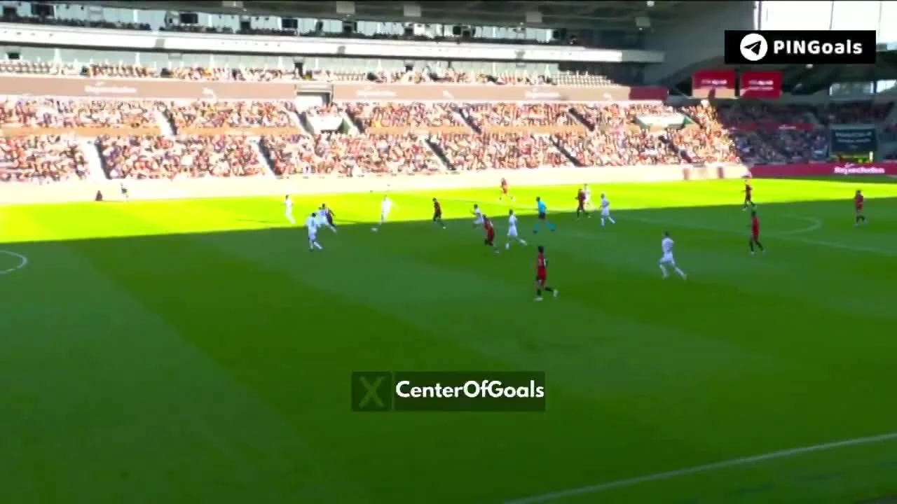 zaslepka skrotu video