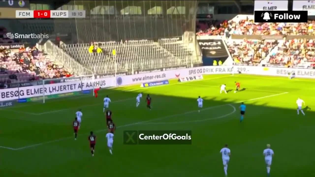 zaslepka skrotu video