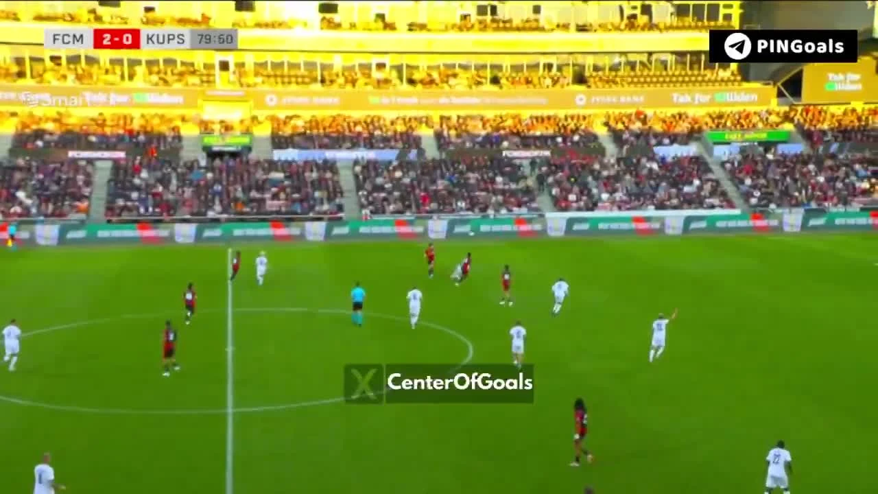 zaslepka skrotu video