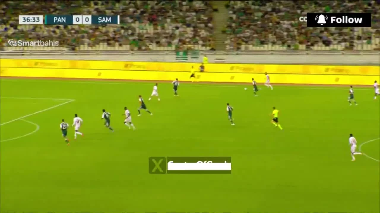 zaslepka skrotu video