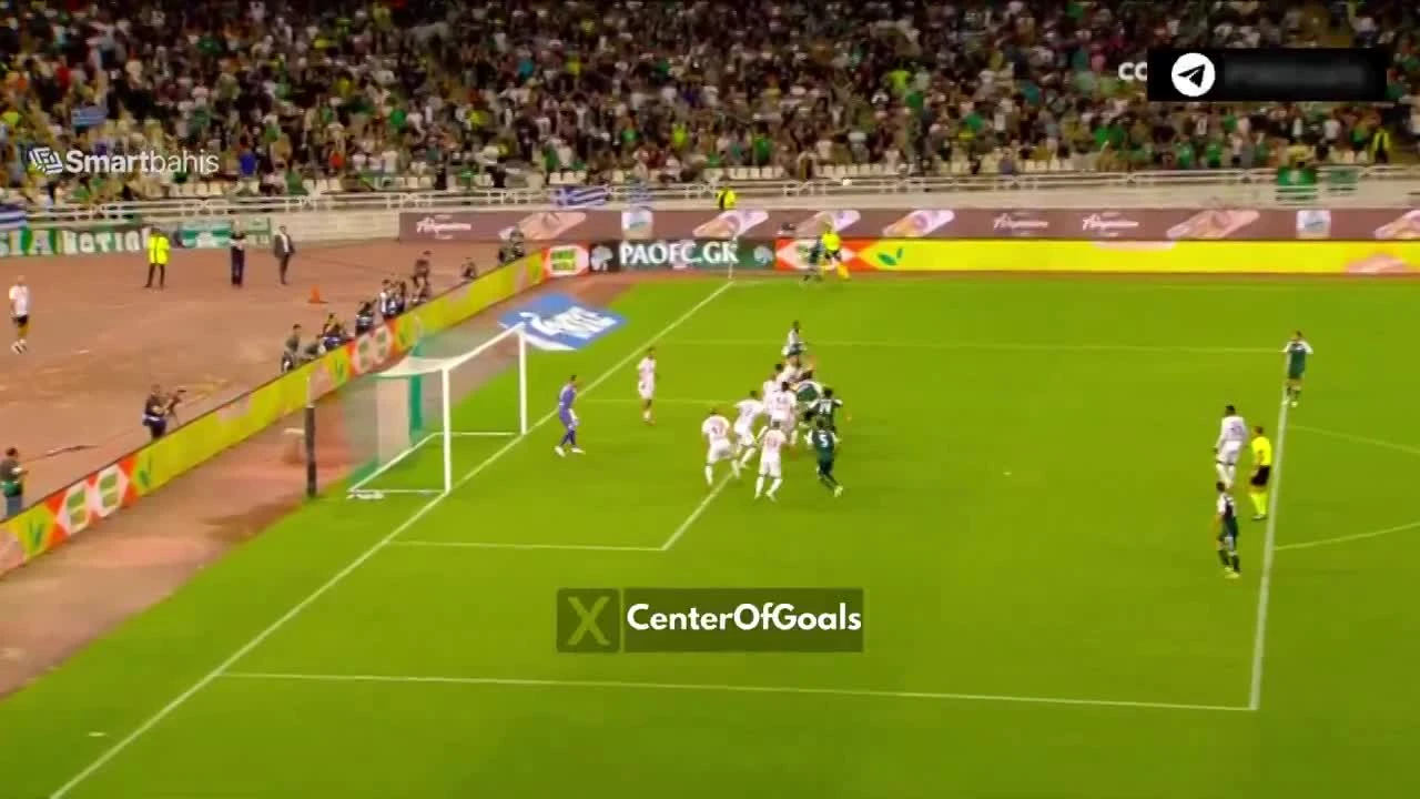 zaslepka skrotu video