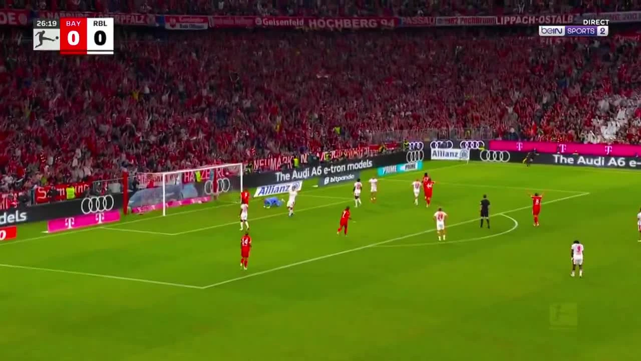 zaslepka skrotu video
