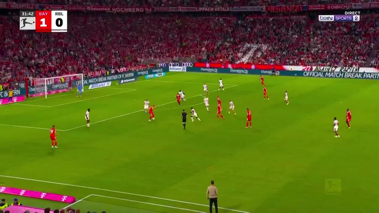 zaslepka skrotu video